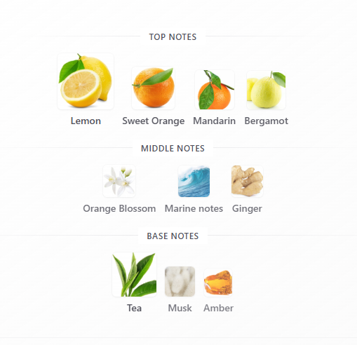 Armaf Odyssey Limoni Fresh Edition - Full Bottle